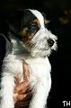 100926_romeo 4 kk2